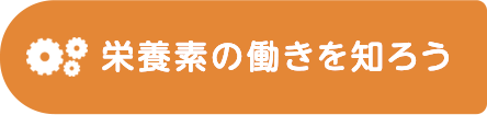 栄養素の働きをしろう