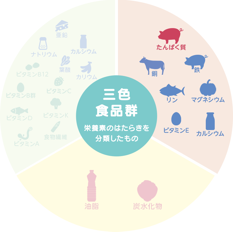 カラダの調子を整える