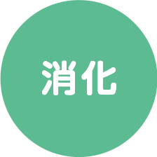 消化