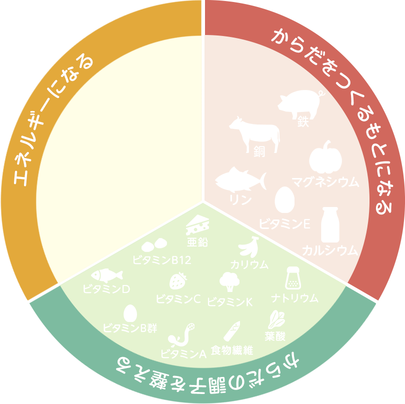 三食栄養素