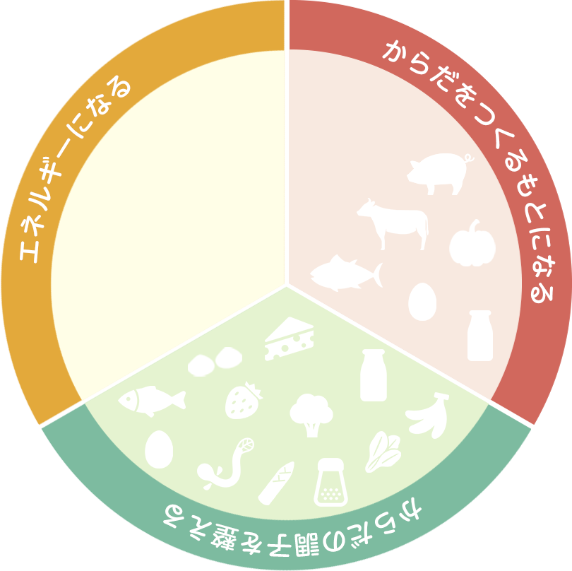 三食栄養素