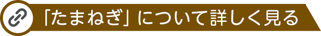 たまねぎについて詳しく見る