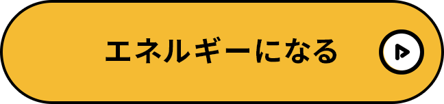 エネルギーになる