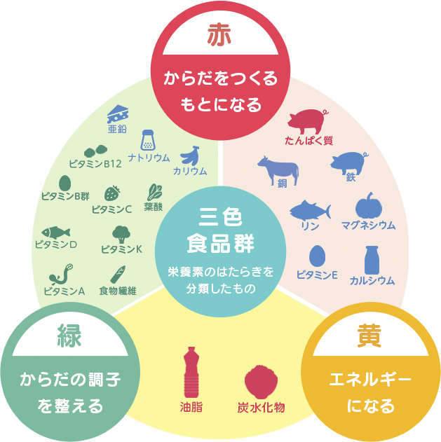 3色栄養素