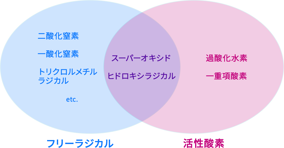 フリーラジカル・活性酸素