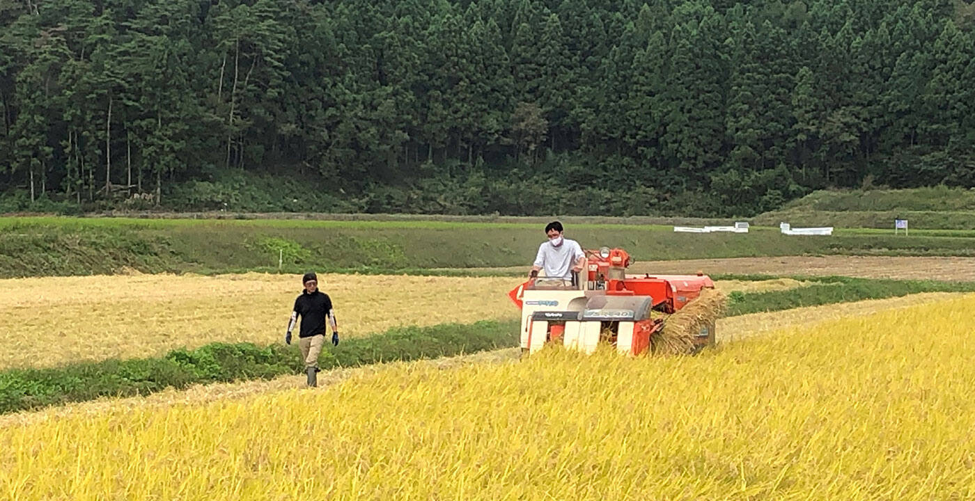 すき家のおいしいお米へのこだわり