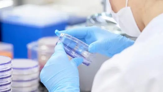 科学的基準で安全性を迅速に分析