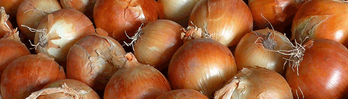onion