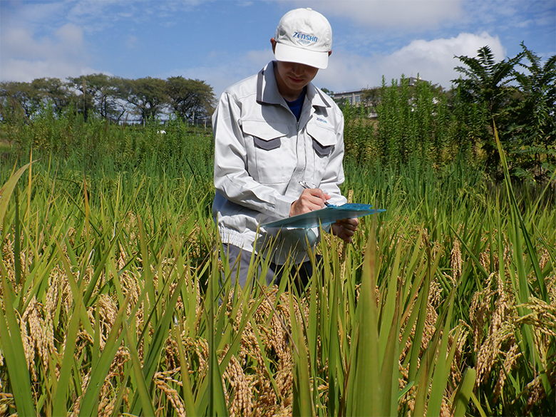 Food ingredient development