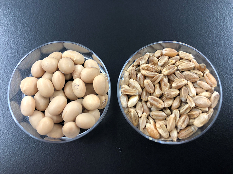 Food ingredient development