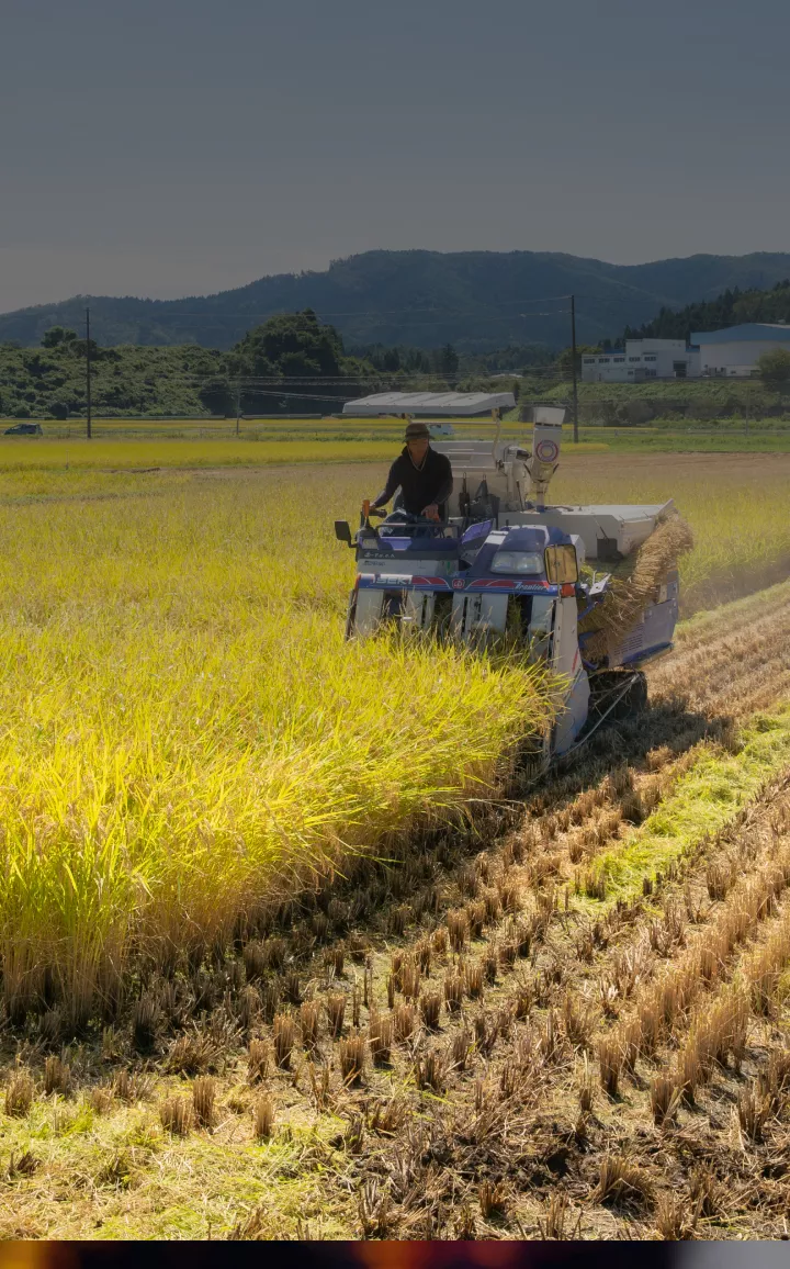 Connecting the world with "MMD," a system that plans, designs, and operates everything from raw material procurement to sales.