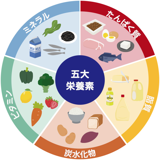 5大栄養素グラフ
