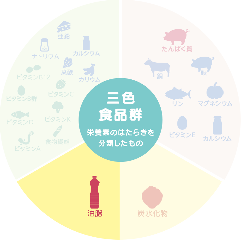 エネルギーになる