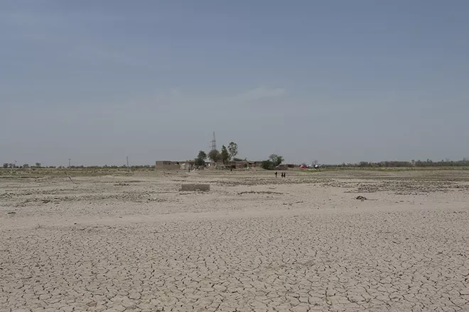 Land that dried up after the floodwaters receded