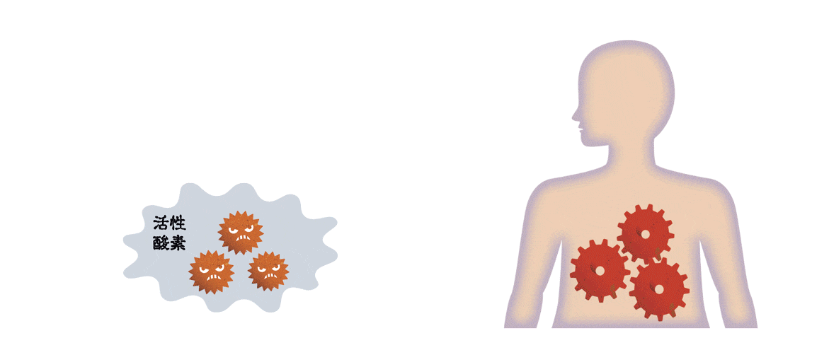 必要な栄養補給計画の実行