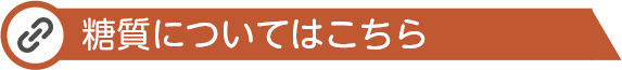 糖質についてはこちら